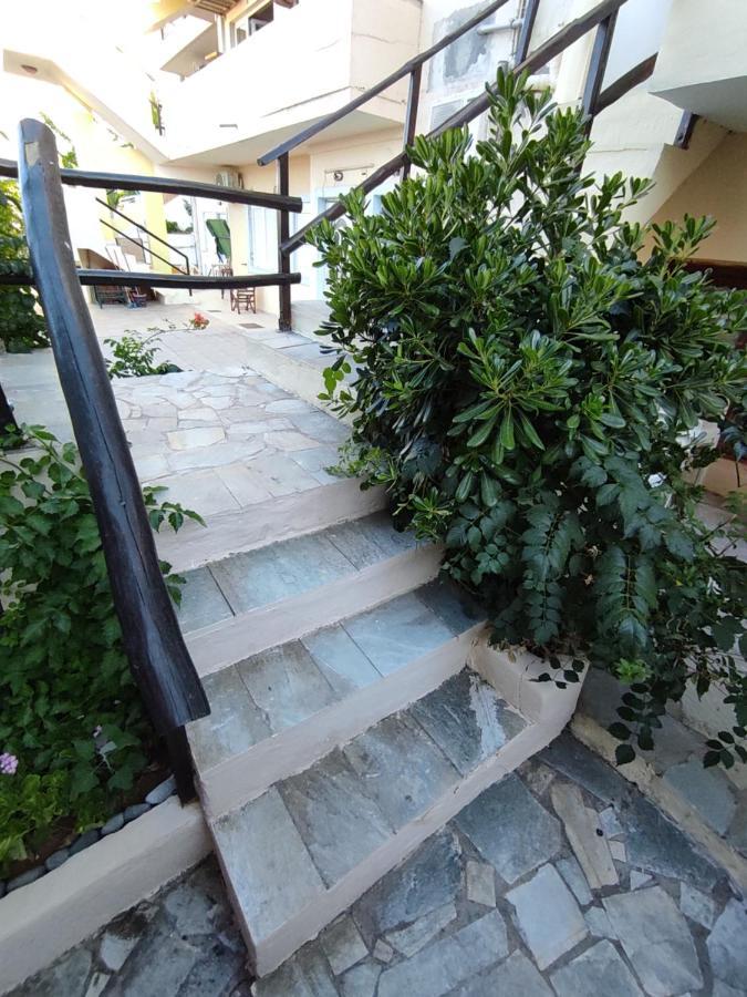 Dedalos N2 Mountain View Apartment-30 Metres From The 公寓 *