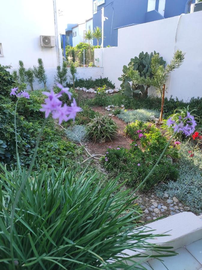 公寓 Dedalos N2 Mountain View Apartment-30 Metres From The